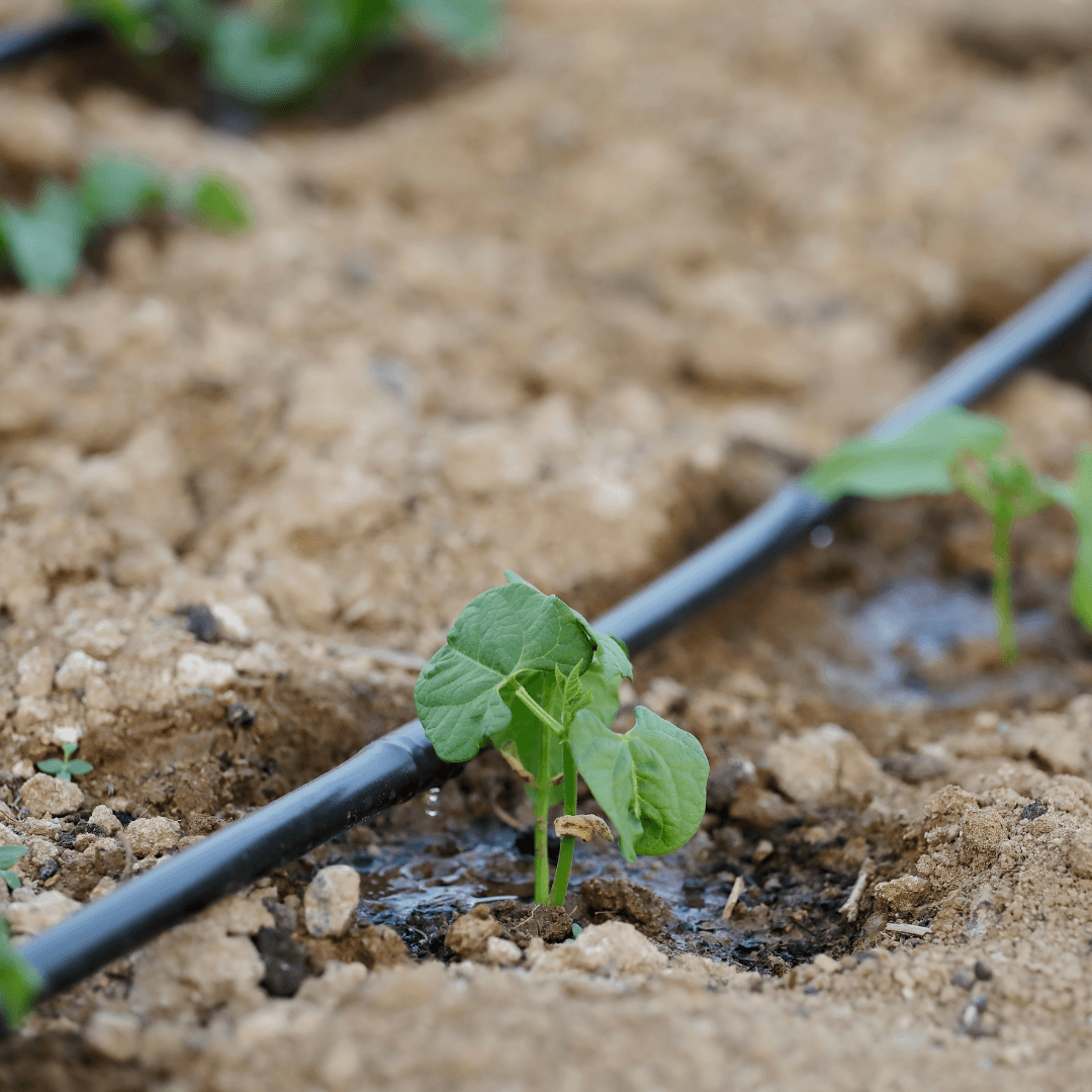 How to Choose the Right Irrigation Filter