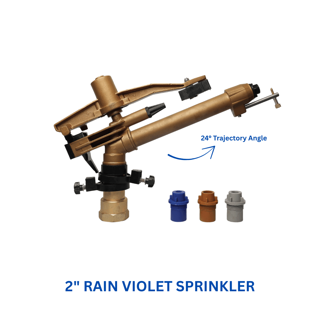 2" Rain Violet Sprinkler