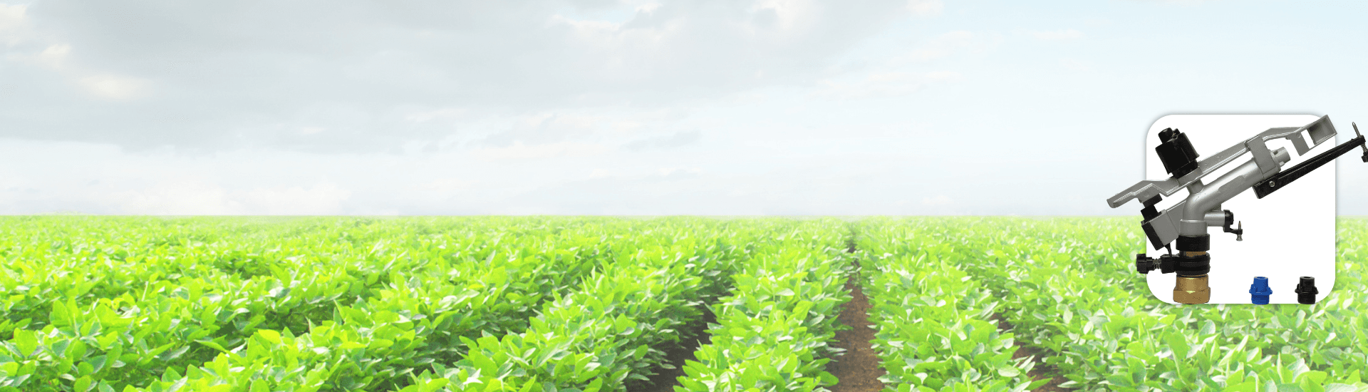 1-1/4" Rain Silver Sprinkler