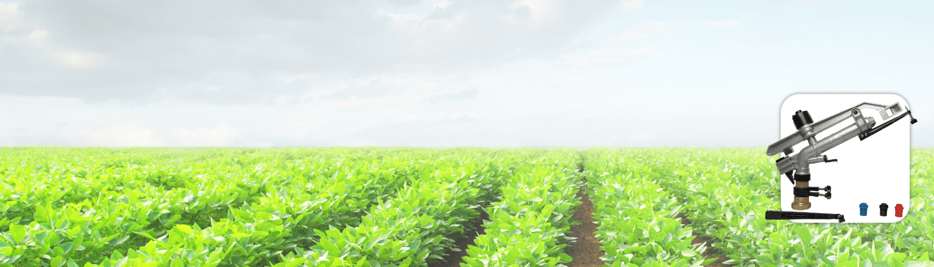 1-1/2" Rain Gold Sprinkler