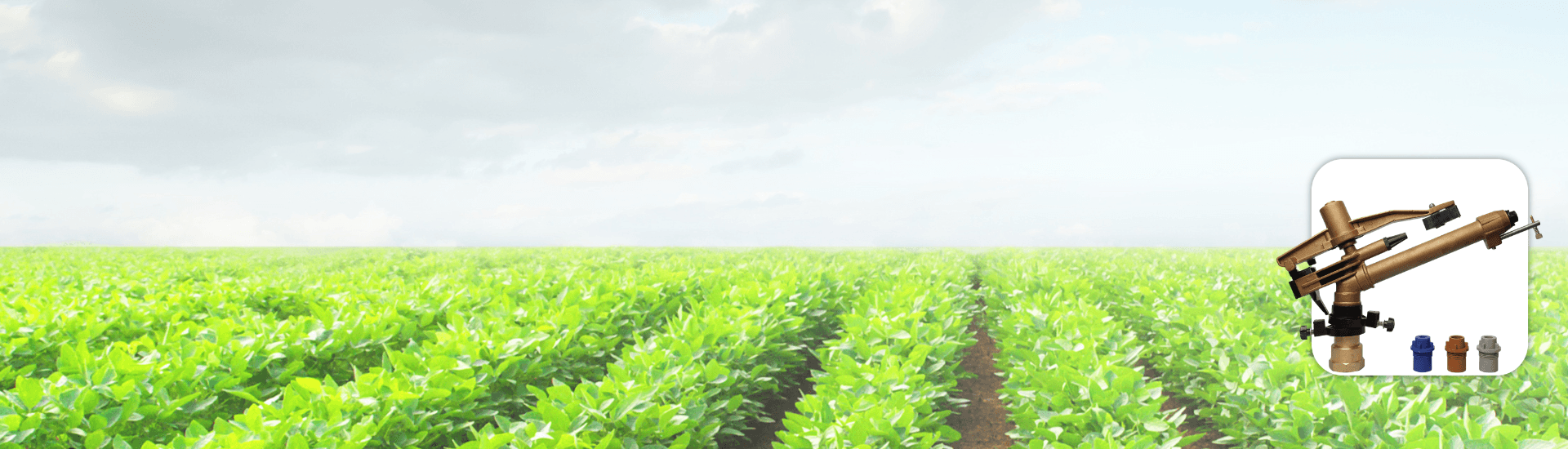 2" Rain Violet Sprinkler