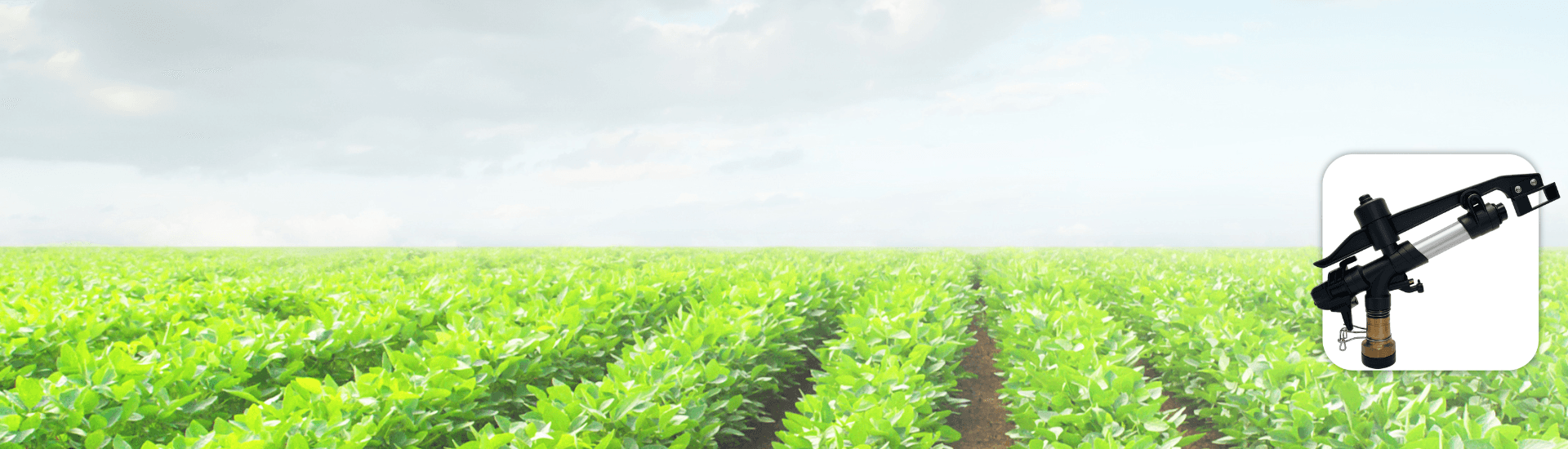 1-1/2" Rain Diamond Sprinkler