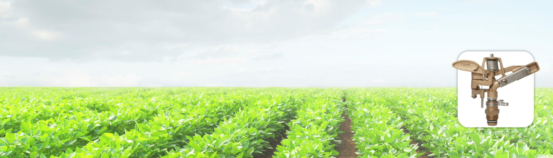 Brass Part Circle Sprinkler