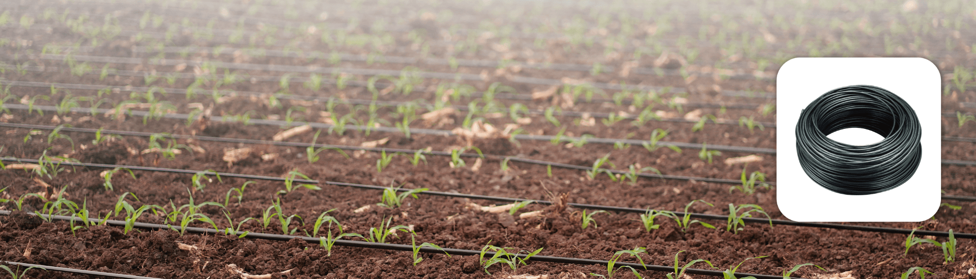 5.5 mm Spagetty/ Distribution Pipes / Connecting Tube/ Micro Tube