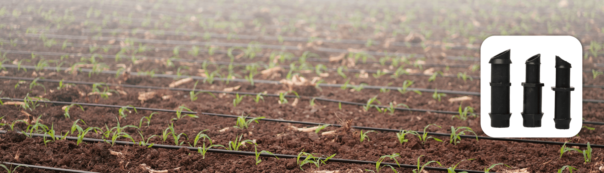 Drip Lateral Fittings