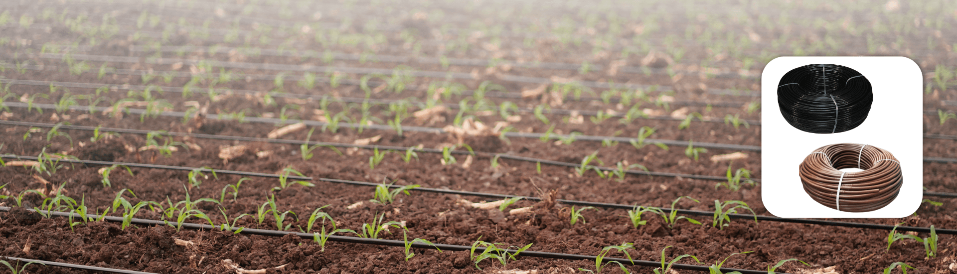 Cylindrical Dripline Emitting Pipe Inline Drip Tube - PC & NON PC