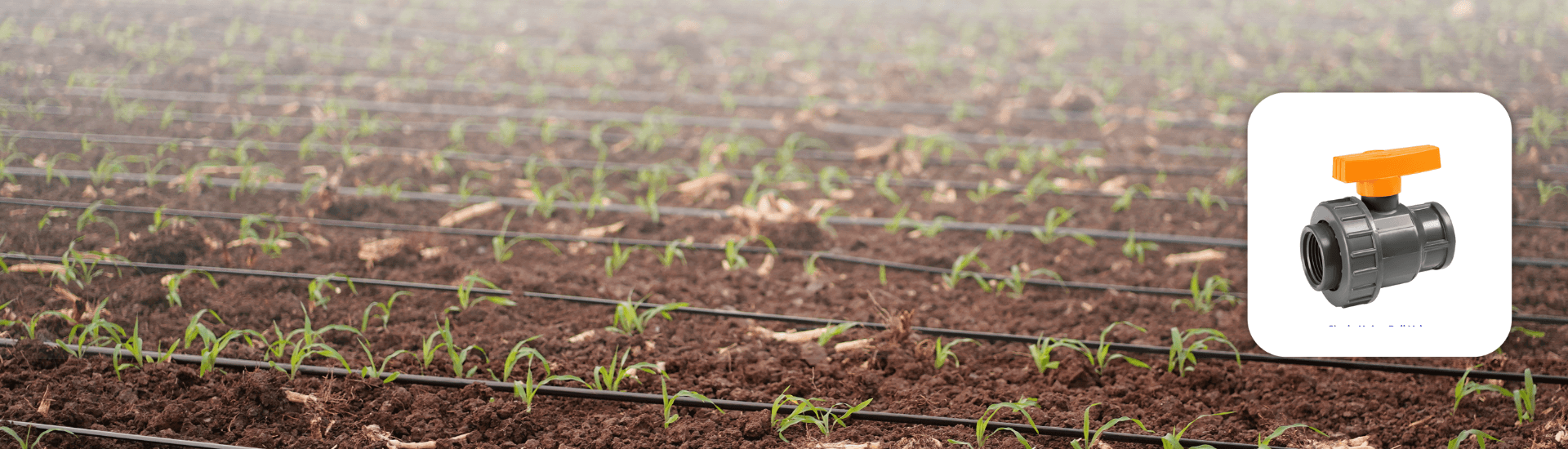 Single Union Ball Valve