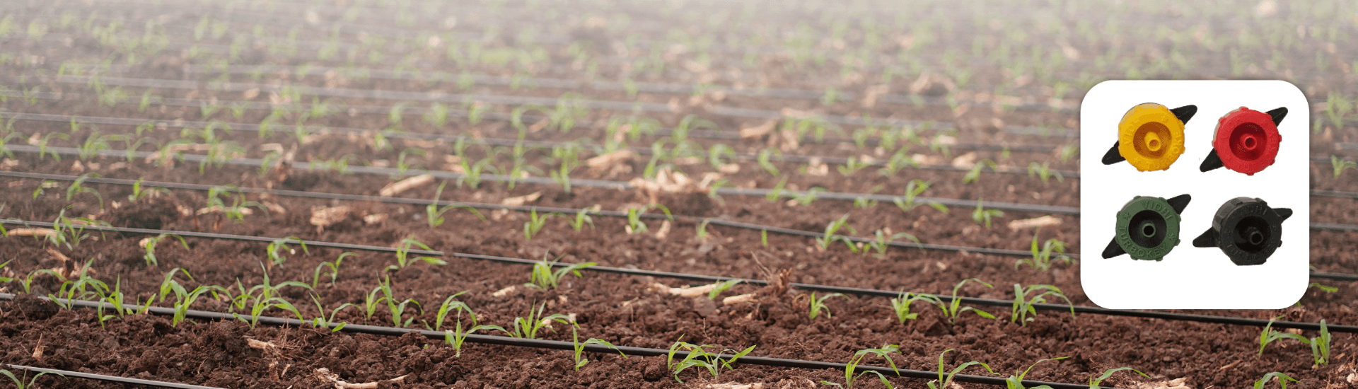 Online Emitters/Dripper NPC TurboKey