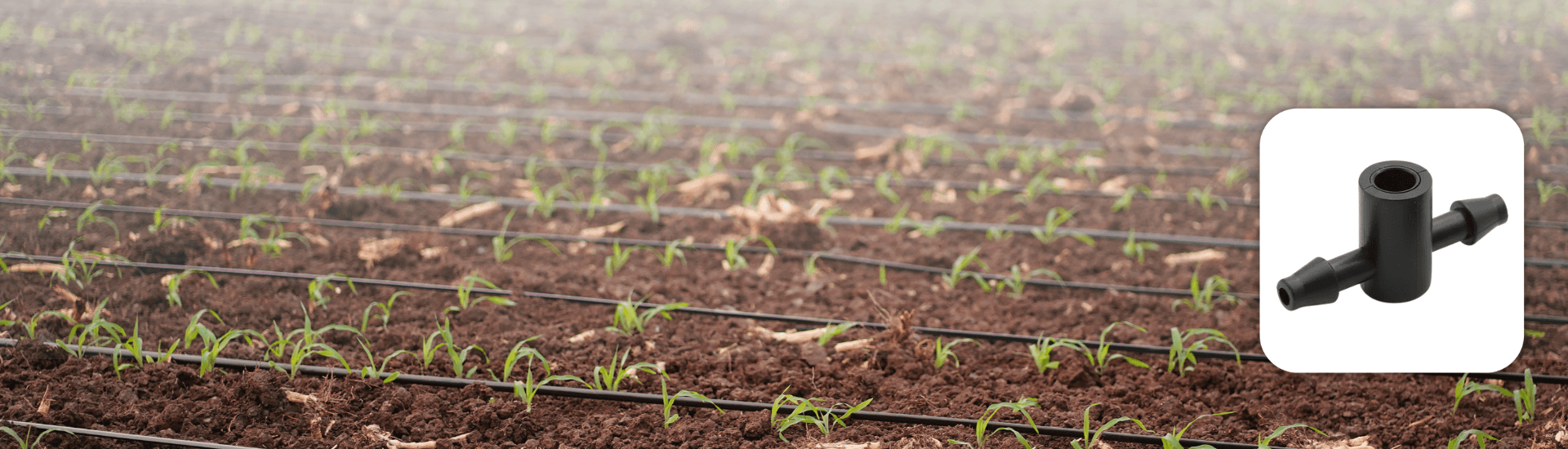 2-Way/4 -Way Connector