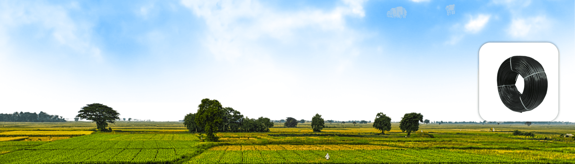 Thin Wall Drip Line Cylindrical