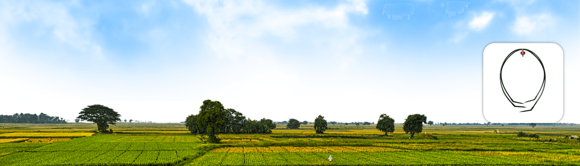 2-Way / 4-Way Connector