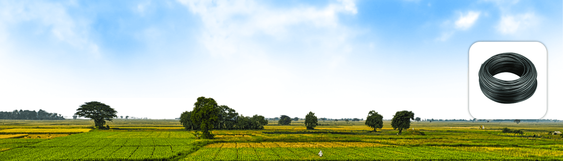 6 mm Spagetty Pipe Distributor Pipe