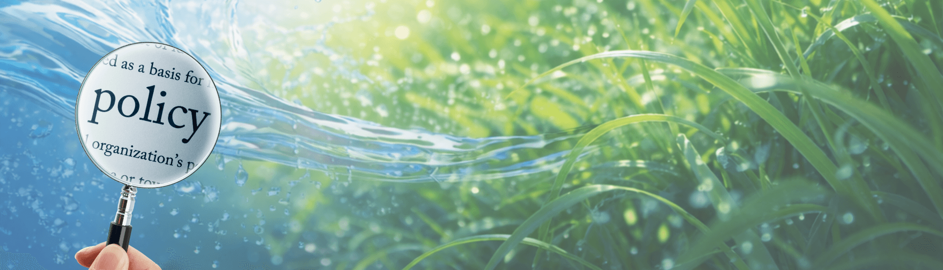 Privacy Policy Background