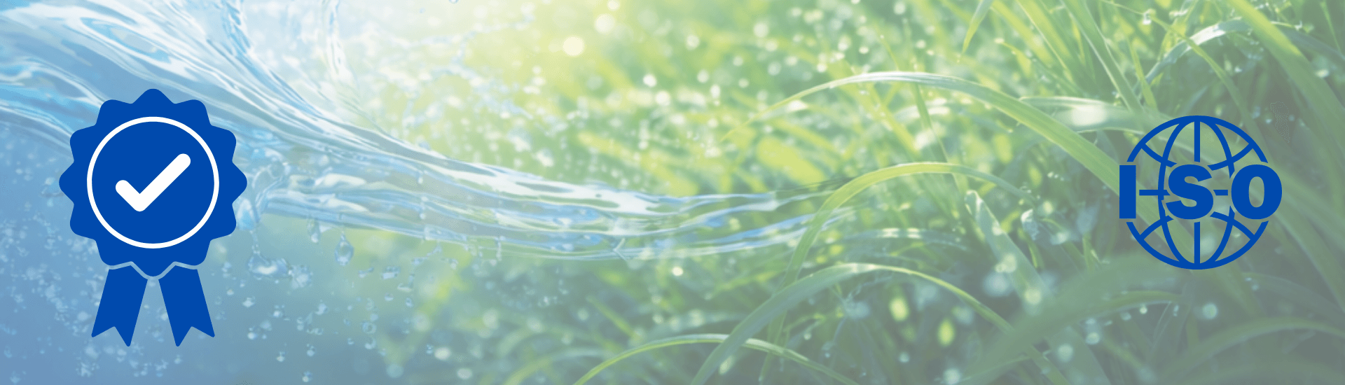 Quality Policy Background