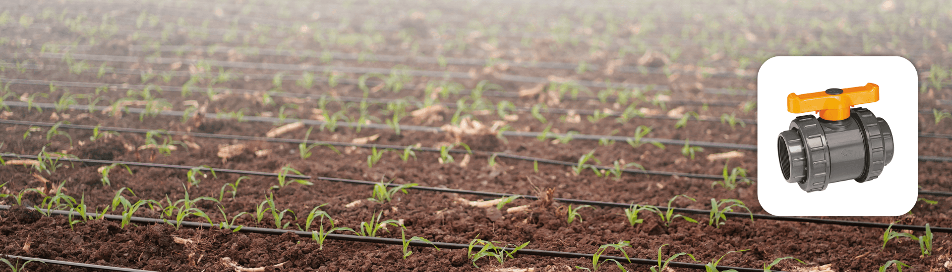 Double Union Ball Valve